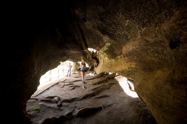 35359948860_805e34b073_o