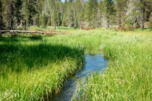 35577920622_ee09a9e45b_o