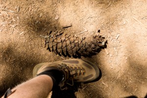 35706049246_24cbd1767f_o