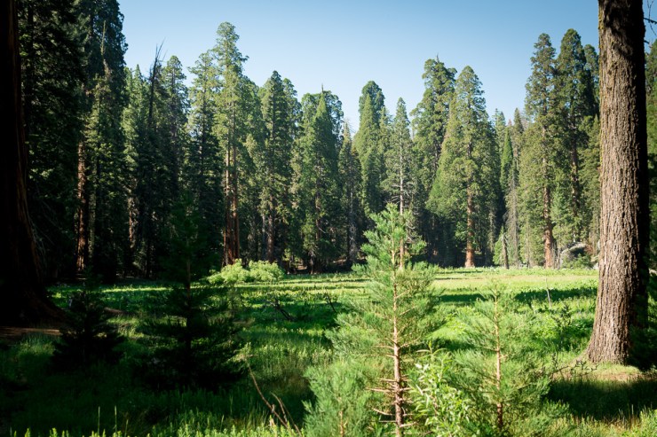 35746234655_e732ff4026_b