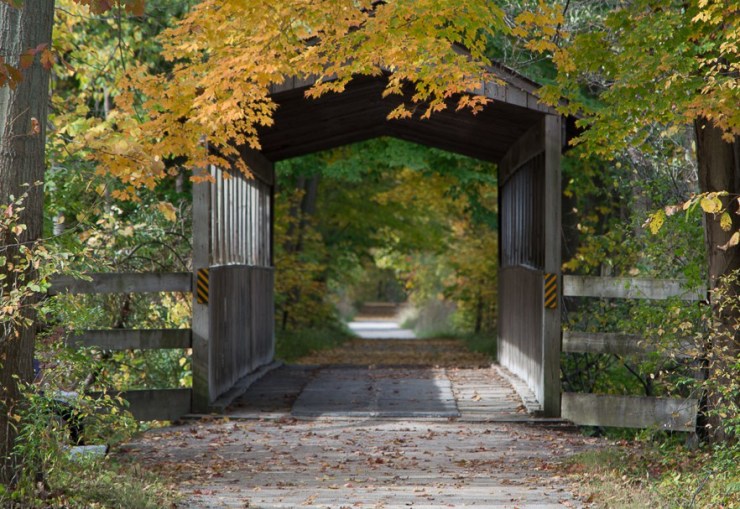 37856167751_b9016fbee2_o