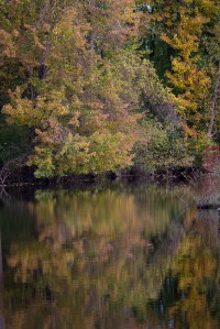 37856201701_f82436c5c3_o