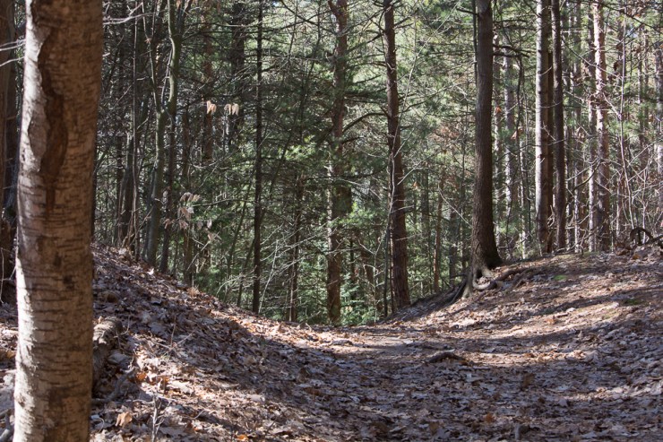 39651100430_e2e89660f3_o