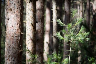 40566668585_43a6c48281_o