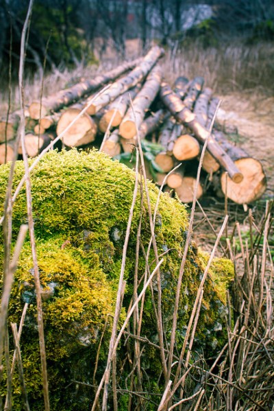 26017920791_7dfdbfe941_z