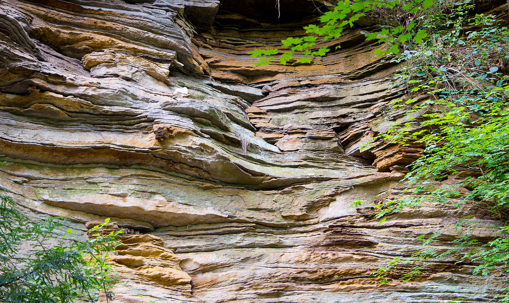 31145261698_1433c22664_b