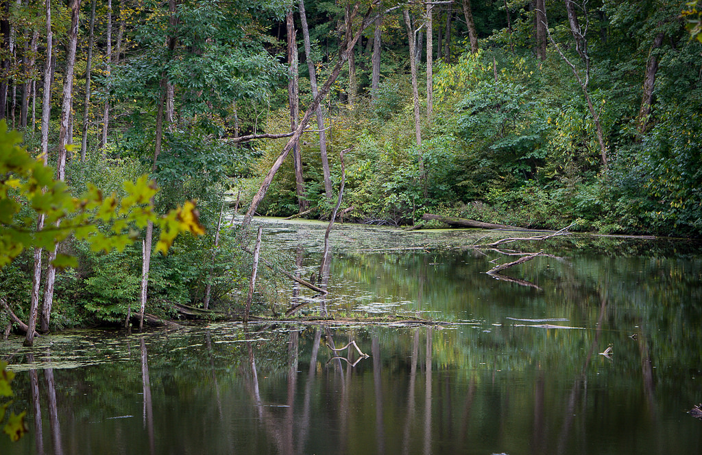 44298605654_3992386d50_b