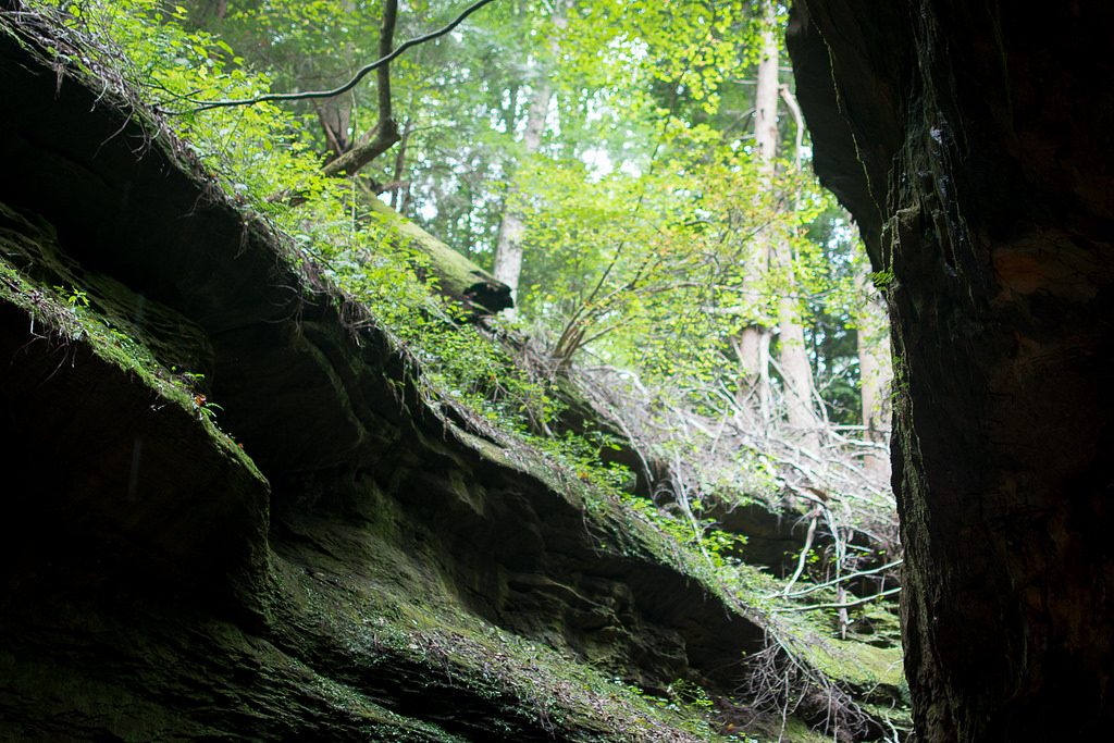 44969541762_377cc48d82_b