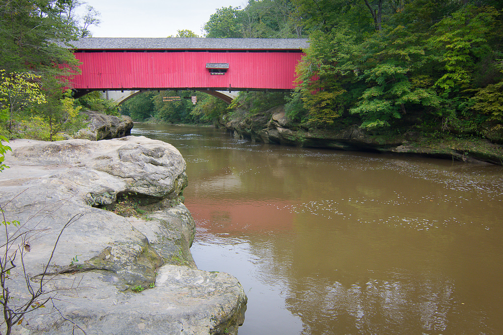 45017722021_d837ede524_b