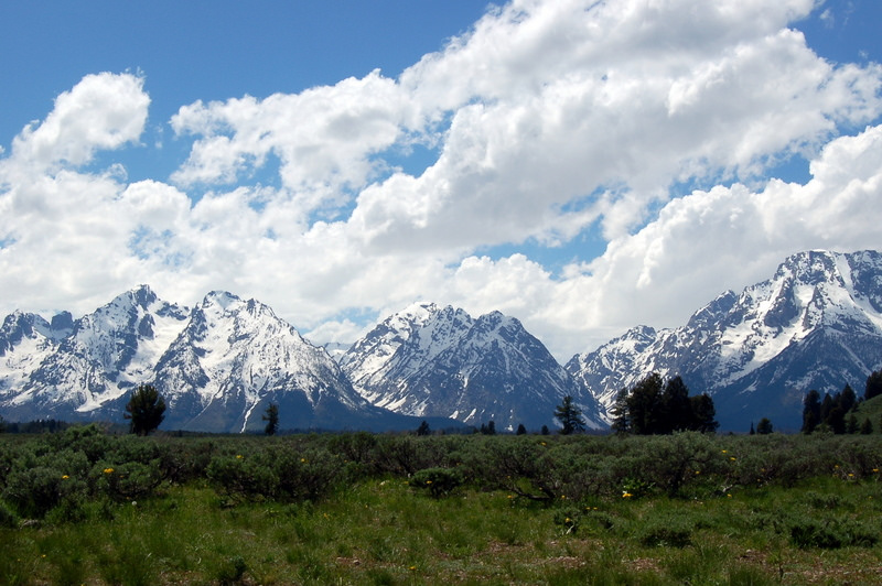 15872151563_f478048991_b