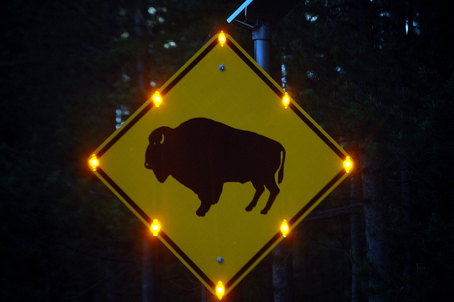 16306039349_84a8809237_z