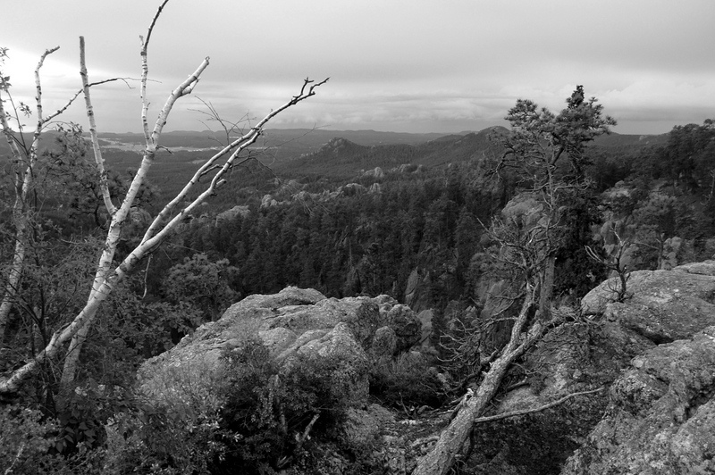 16306392217_5b91efc211_b