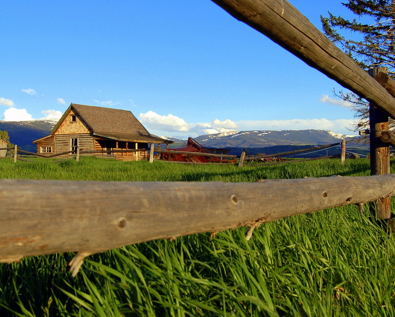 16466291166_639331da0e_o