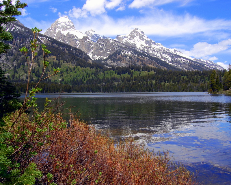 16490545781_272e72e9e0_o