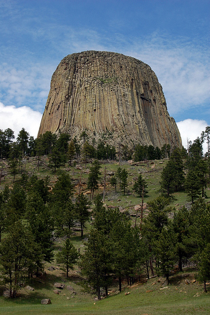 16491303382_df5f491cd4_z