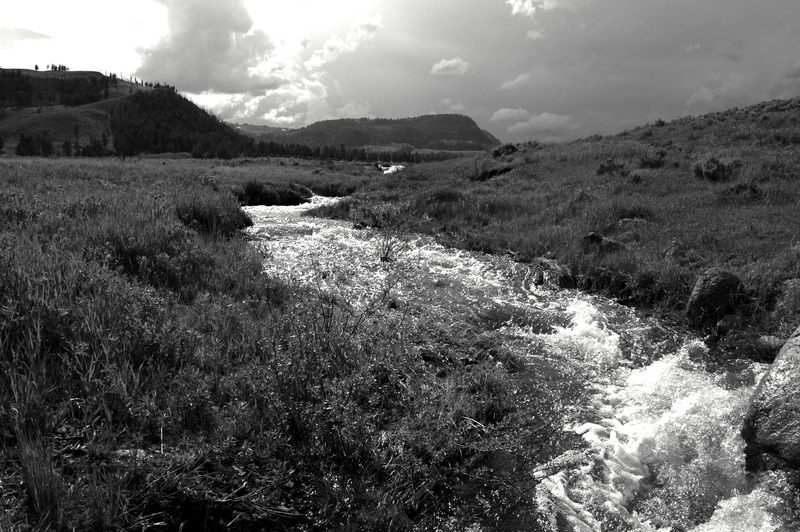 16491327282_bd67089bfd_b