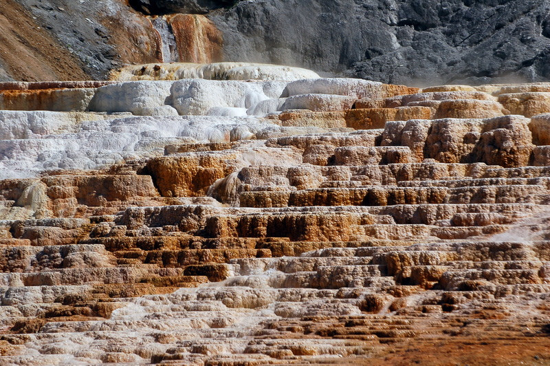 16491338522_984ec58a1a_b