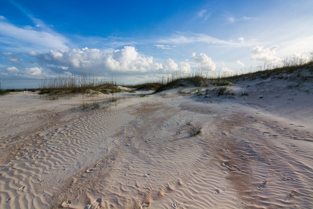 24167822006_ed75132939_b